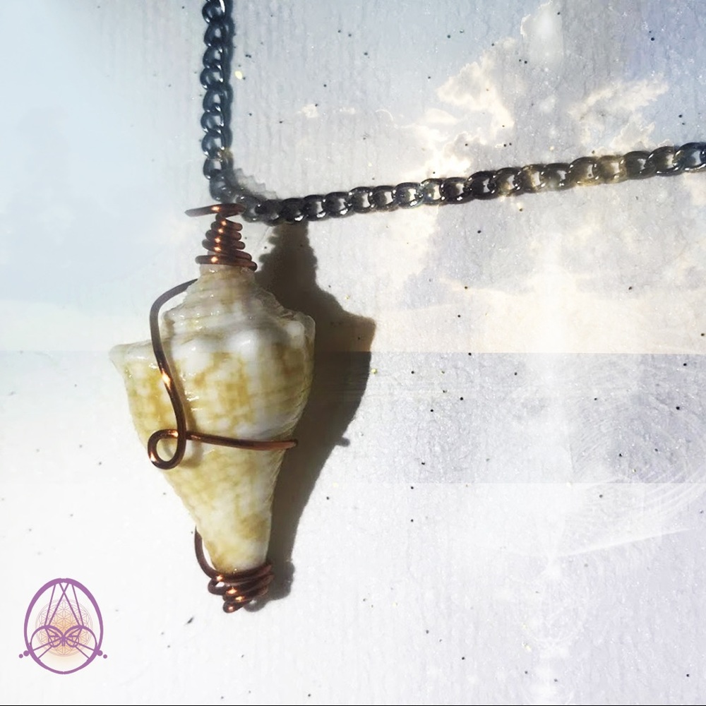 Creamsicle Drill Seashell Necklace